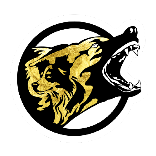 BYK9 Logo